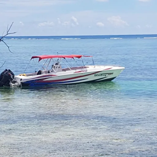 Chustar Marine Boat Charter