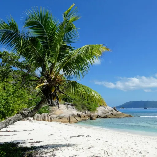Island Exploration Seychelles