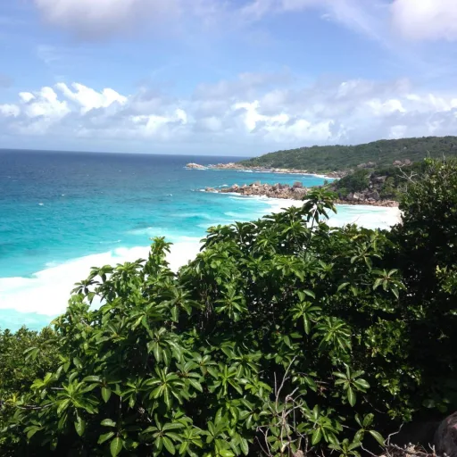 Coco Trail Guide