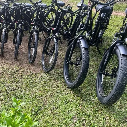 Stan Bike Rental