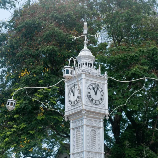 Amedee Island Tour