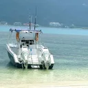 Exotic Boat Charter