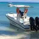 Sea Horse Charter