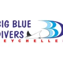 Big Blue Divers