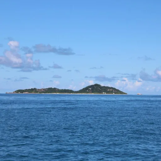 Atlast Boat Charter