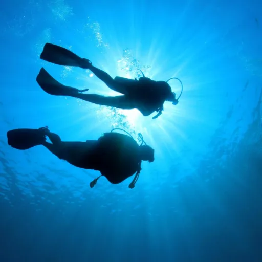 Blue Sea Divers