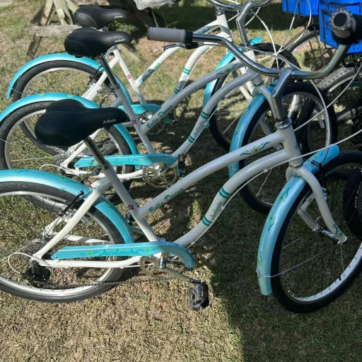 Ton Ven’s Bike Rental