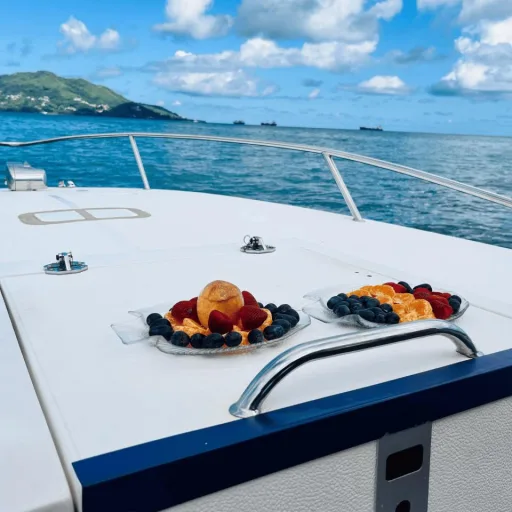 Coral Cruises