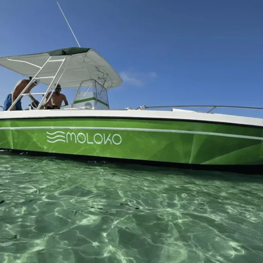 Moloko charter