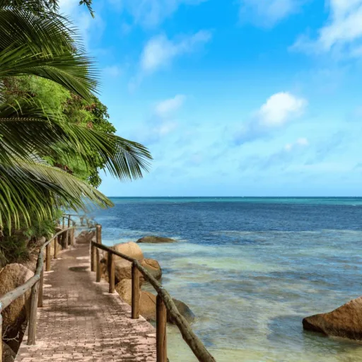 Tour Guide Praslin