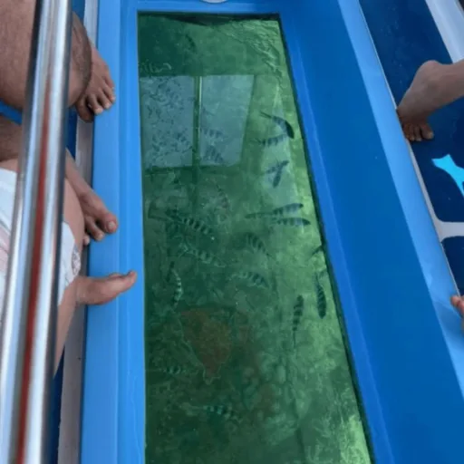 Orca Glass Bottom Boat