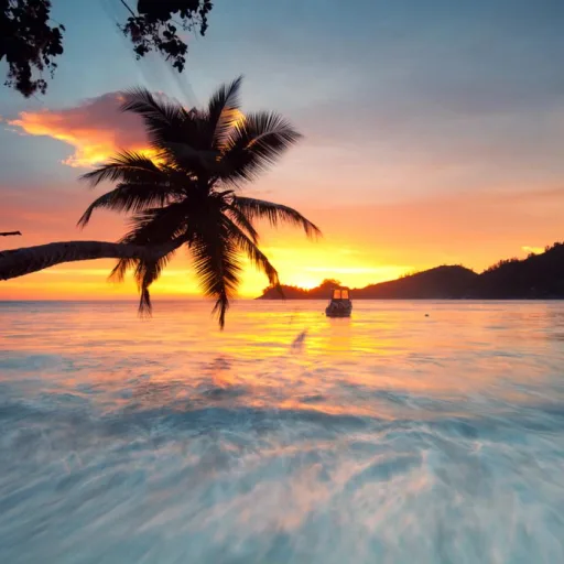 Tropicals tours