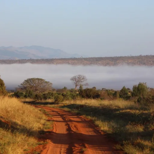 Absolute Holiday Safaris