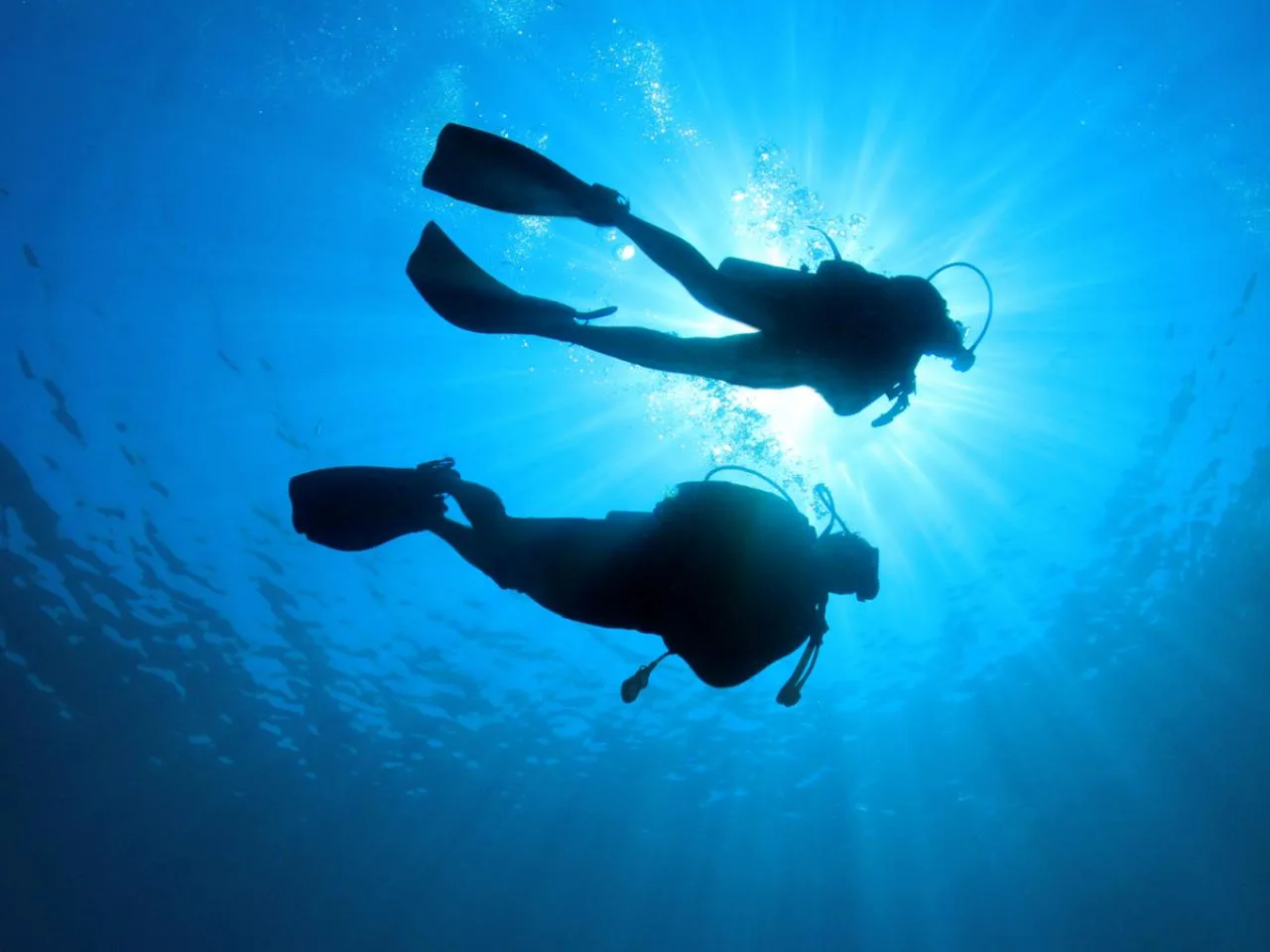 Pacchetto 5 immersioni a Praslin, Seychelles