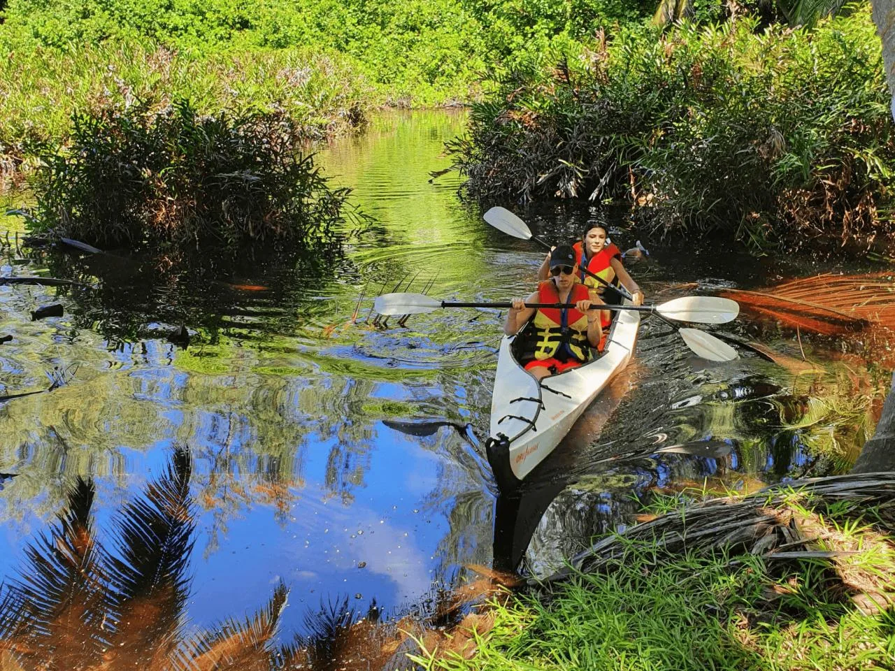 Visite privée en kayak de 2 heures sur l'île de Mahé pour 3 ou 4 personnes