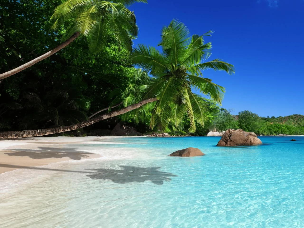 Tour di un giorno intero a Praslin e La Digue dall'Isola di Mahé