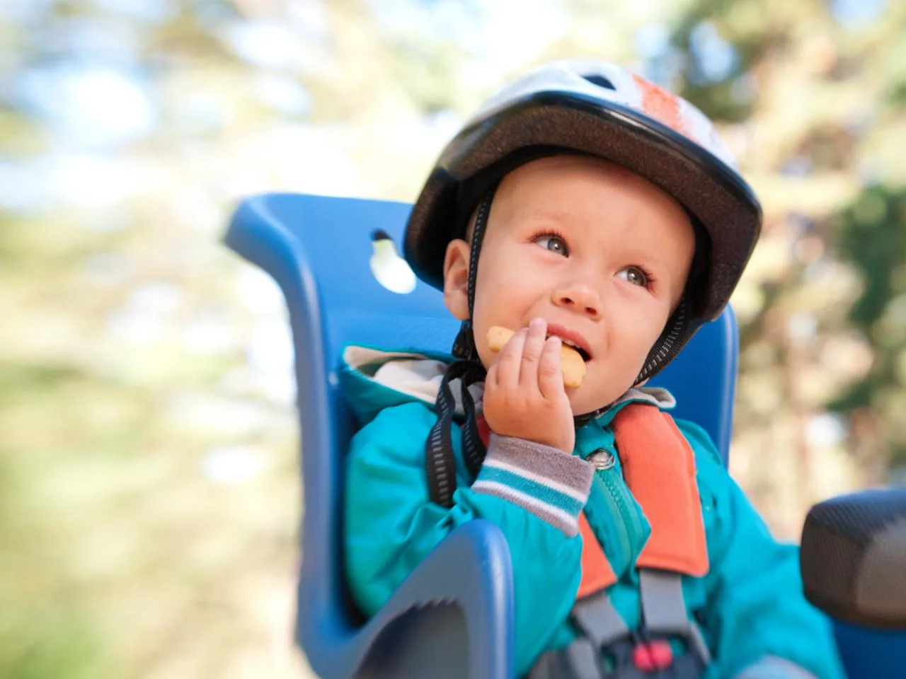 Bike with Child Seat Rental for 3 Days
