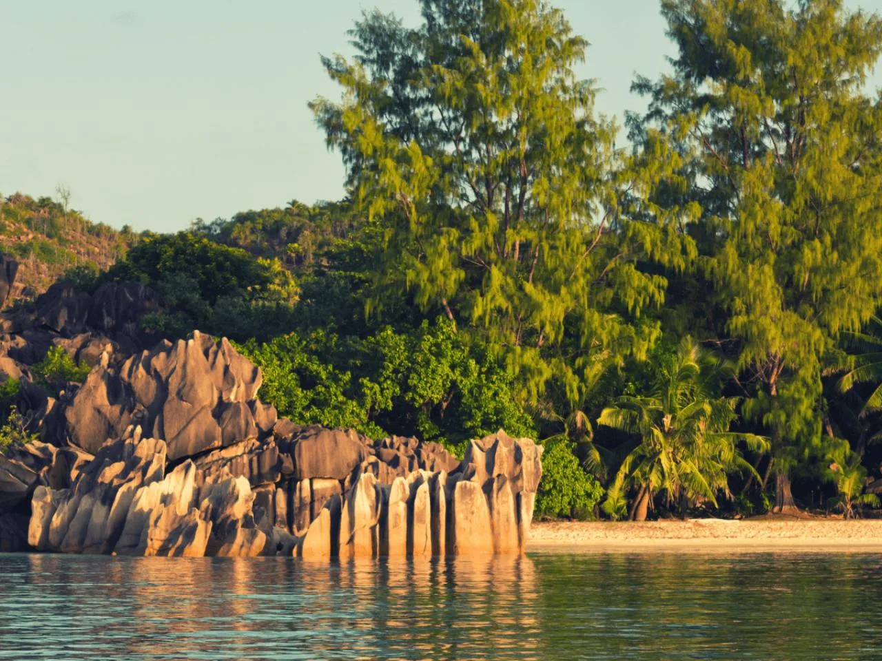 Curieuse Island: dagtocht met giant tortoises, snorkelen en meer