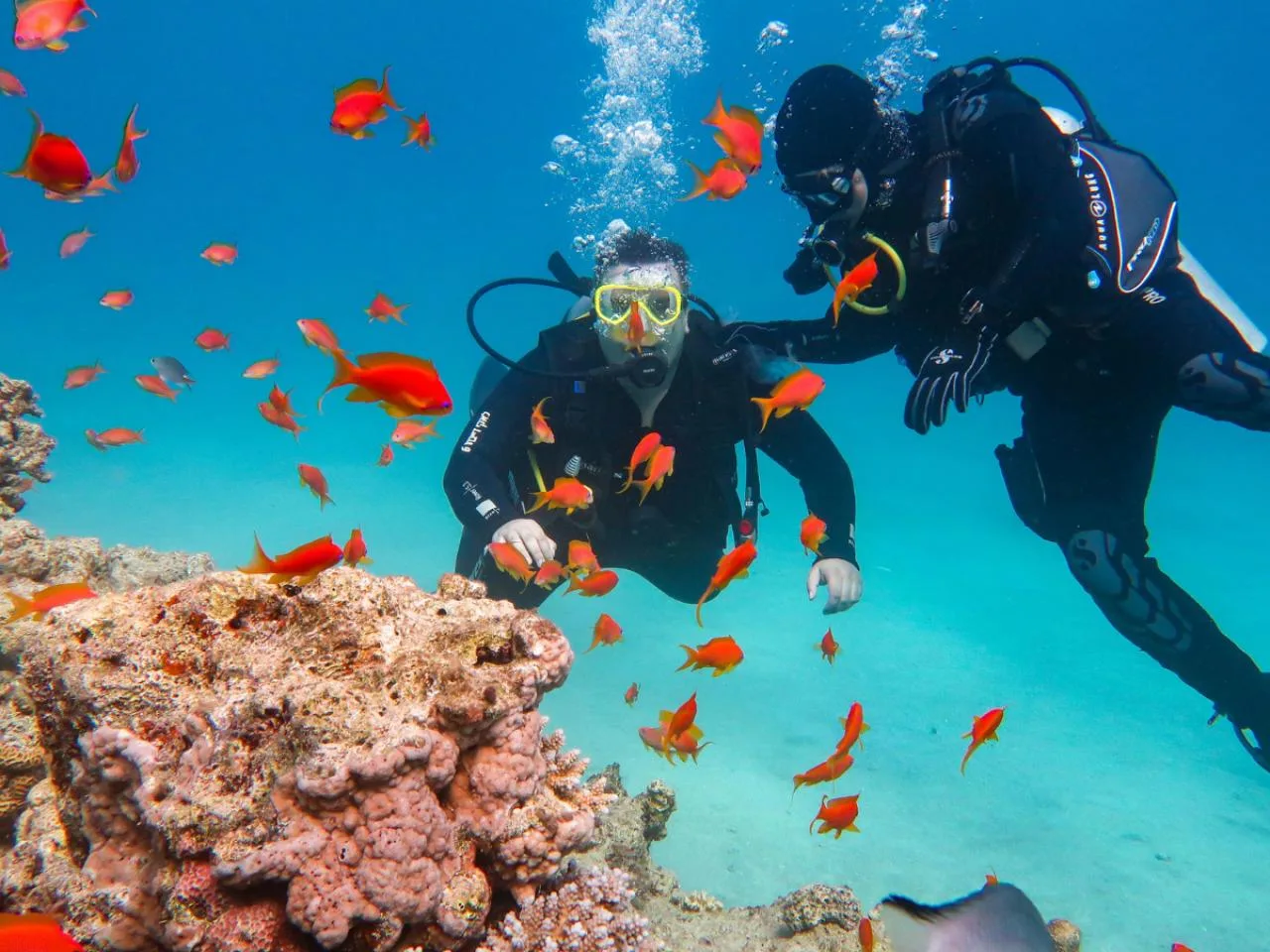 Escursione di immersione introduttiva a Praslin, Seychelles