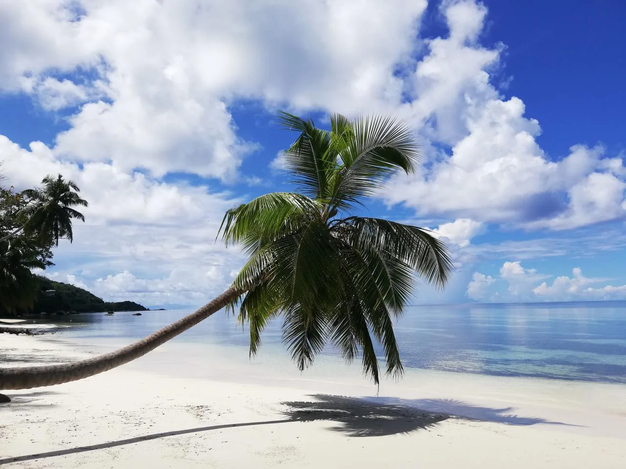 Ganztägige geführte Landtour auf der Insel Praslin