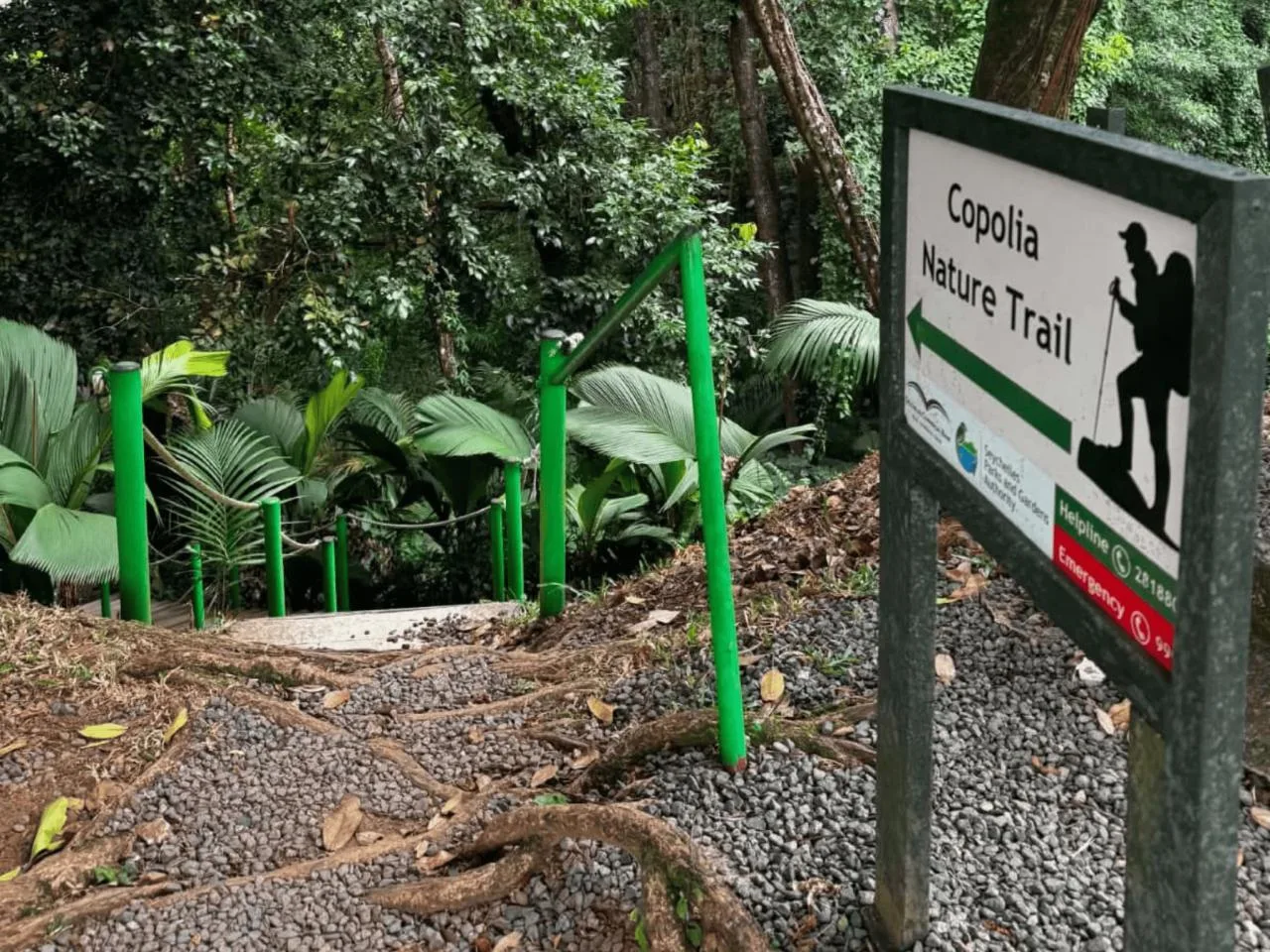 Local Expert Guide — Copolia Trail Hike Mahé | 4H Guided Nature Tour