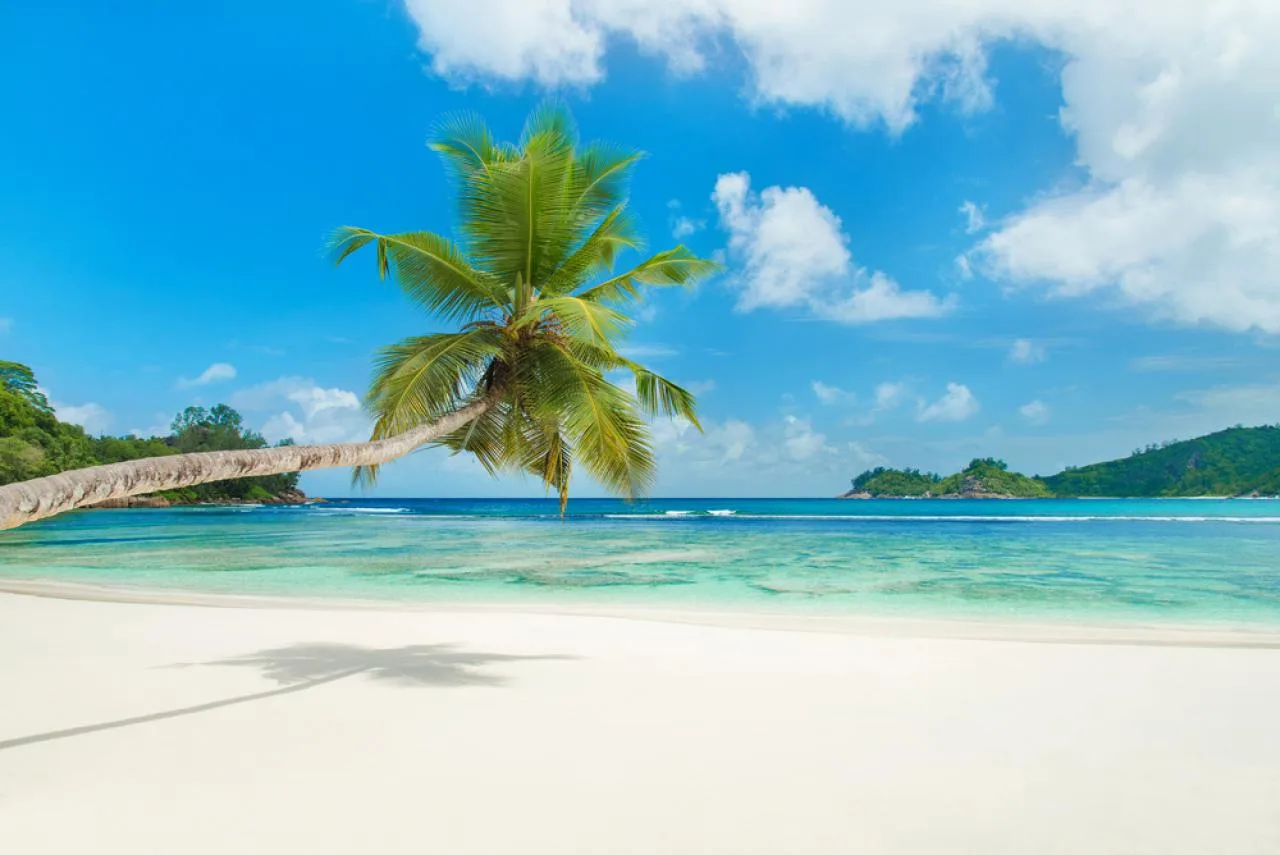 Tour di mezza giornata alle spiagge dell'Isola di Mahe