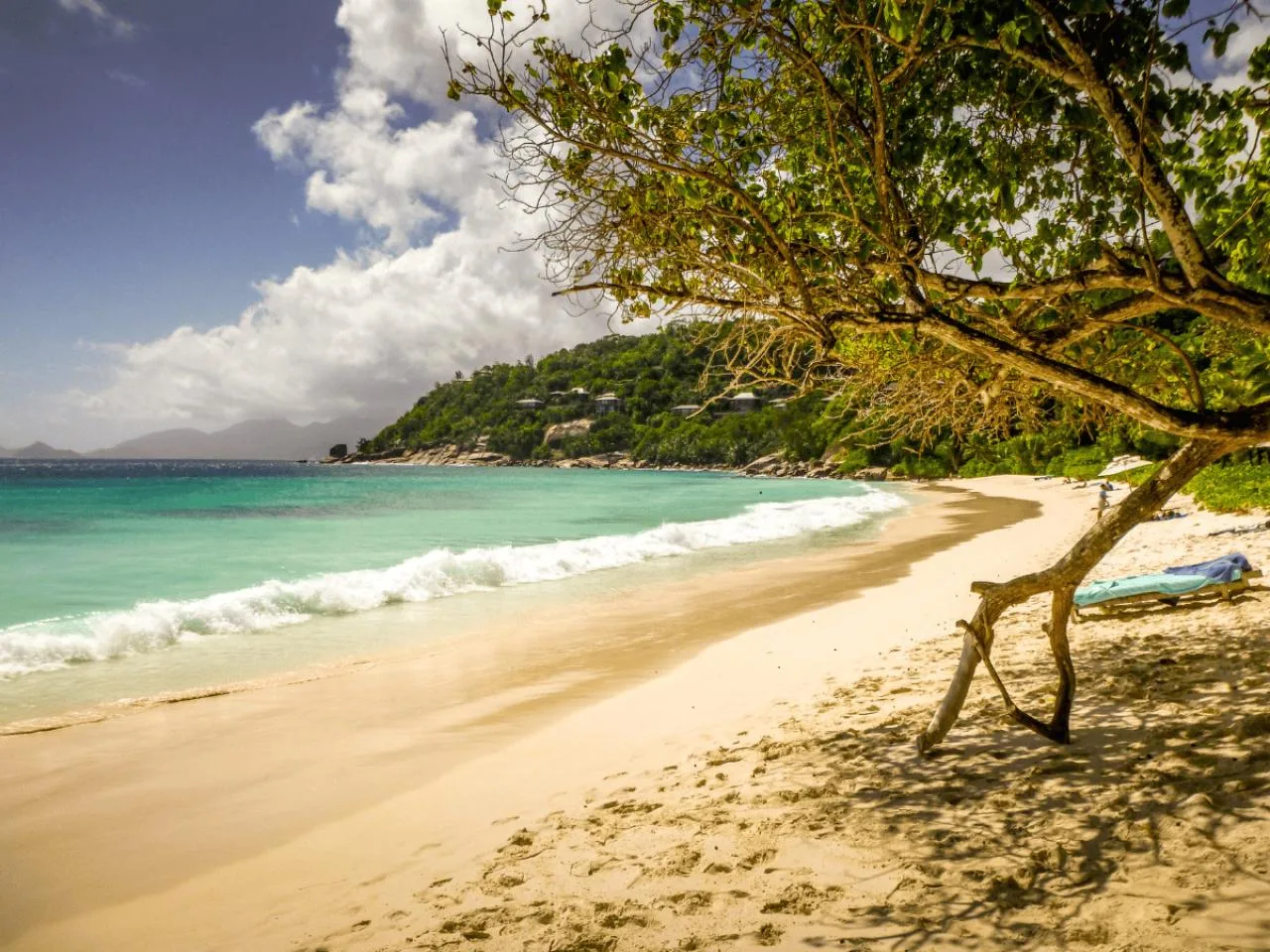 Best of Mahé Island with a Half-Day Guided Tour