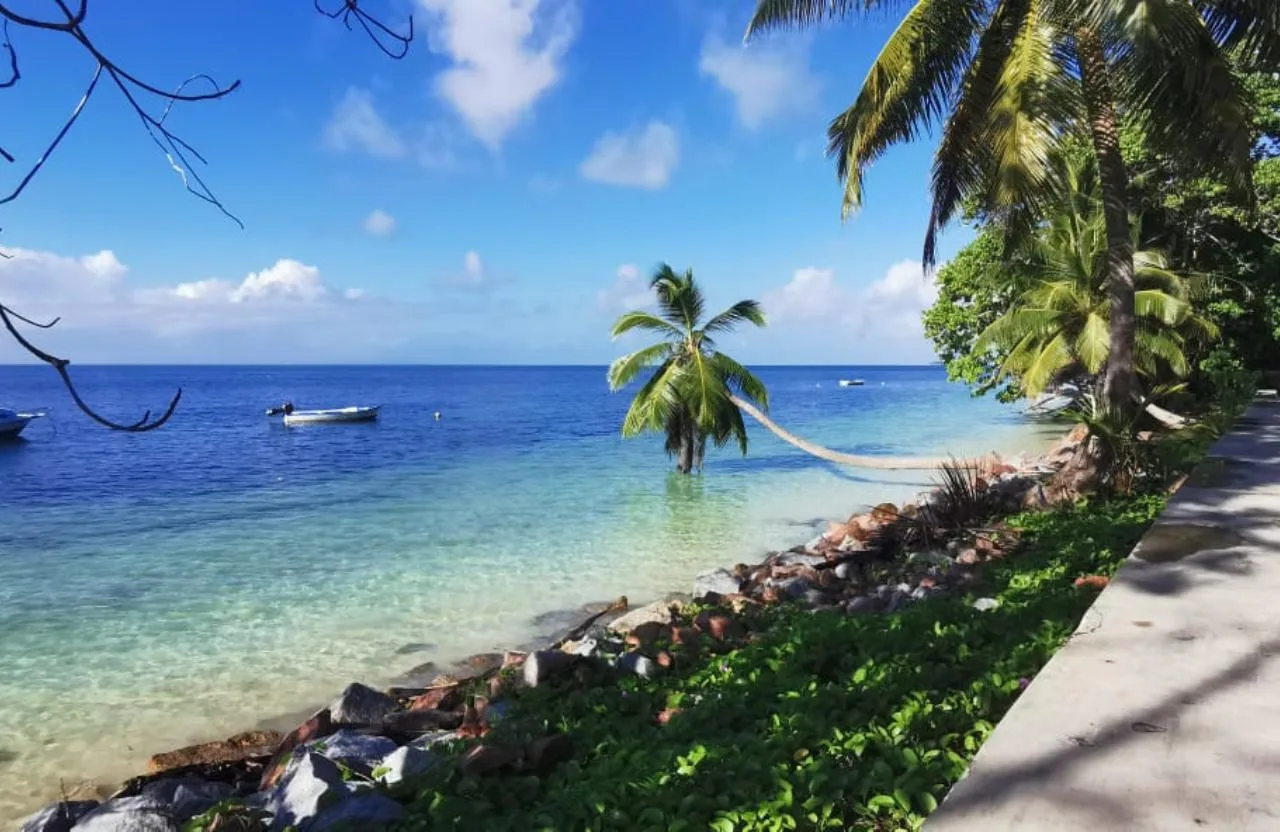 Full-day Minivan Island tour in Praslin - Valle de Mai and more