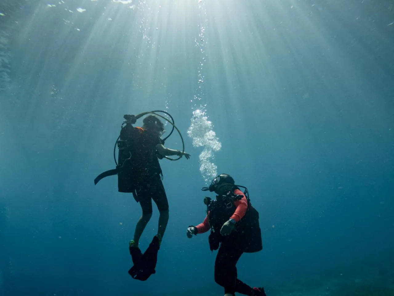 Twin Tank Dive Excursion with Equipment in Praslin, Seychelles