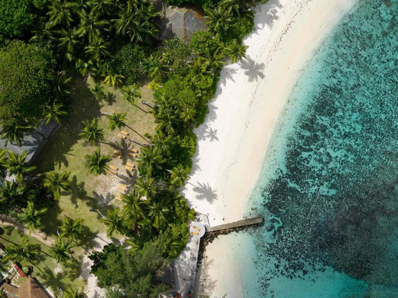 Full-Day Anse Royale Tour: Royale Cruise on Odezir with Creole Lunch