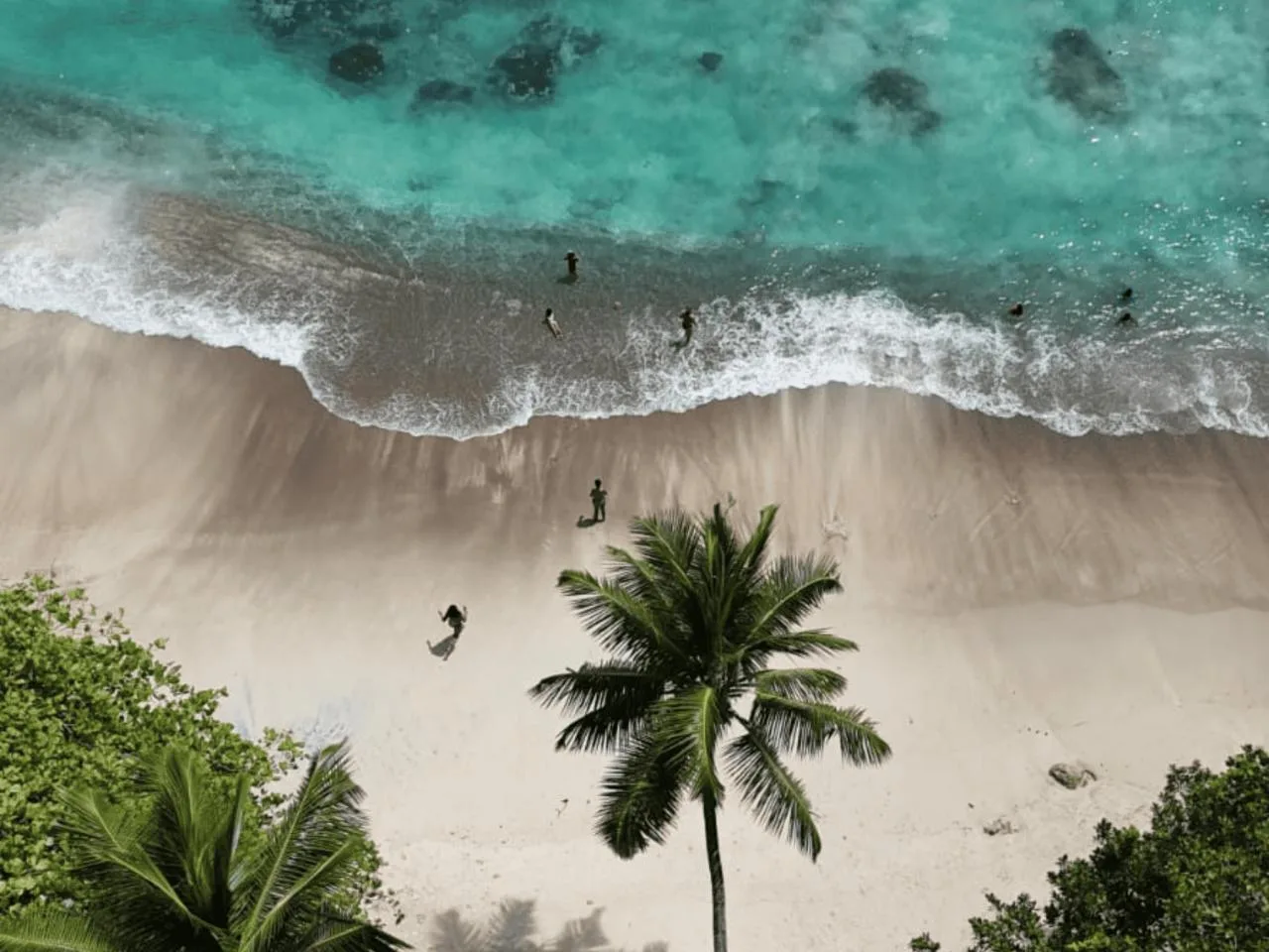 Anse Major: escursione di un giorno intero con pranzo, Mahé