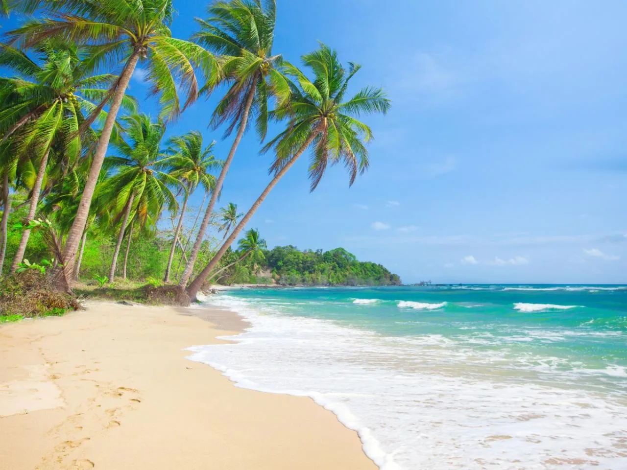 Seychelles : Aventure privée sur 5 plages, côte nord de l'île de Mahé