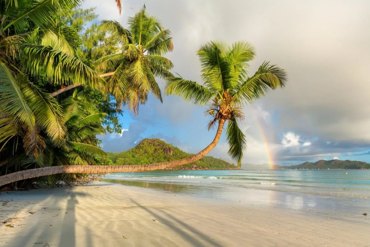 Half-day Minivan Island tour in Praslin - Valle de Mai and more