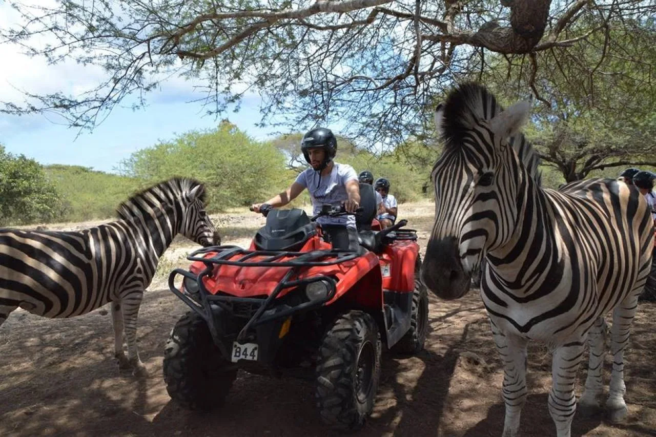Safari in quad in solitaria a Casela