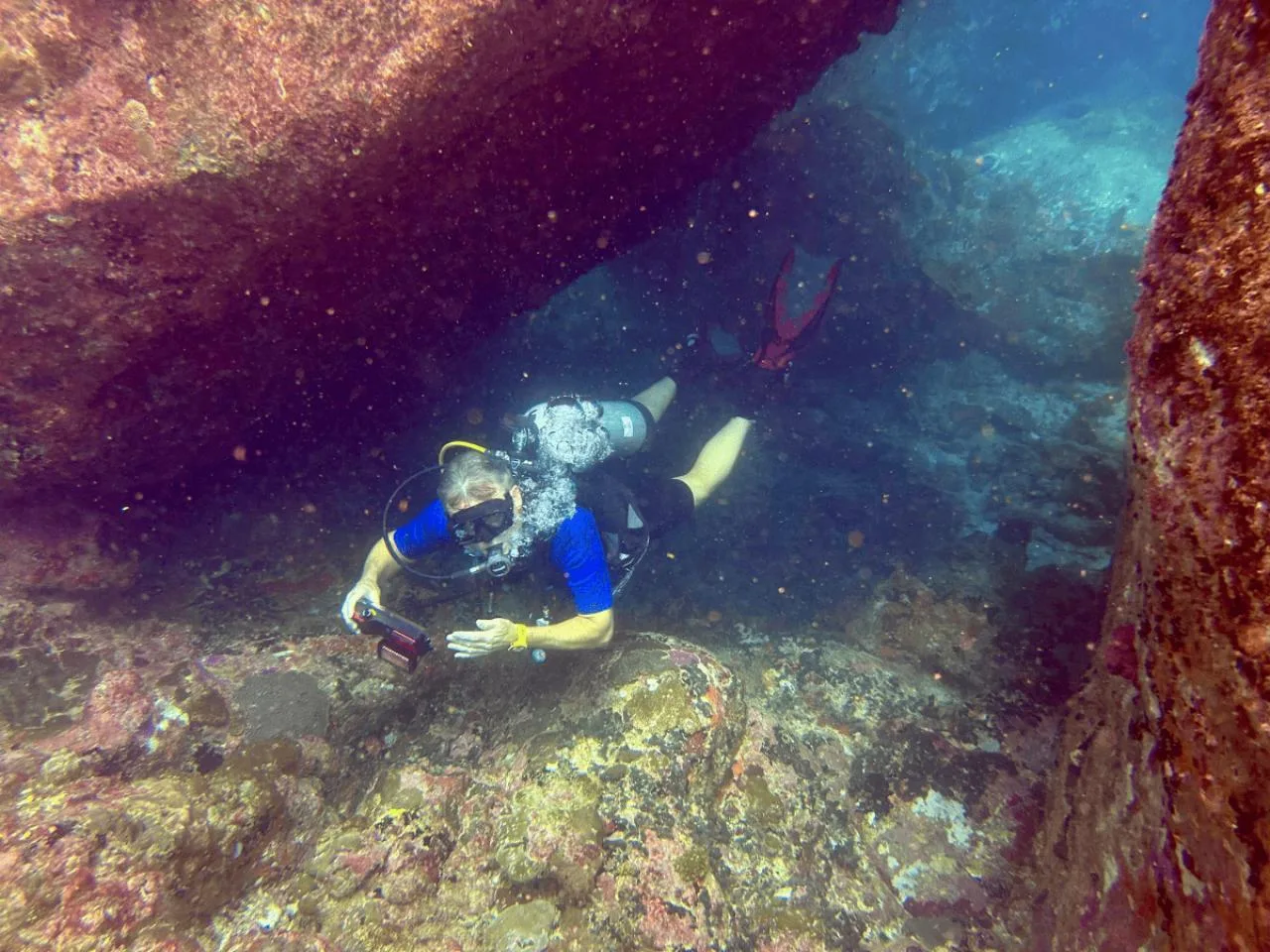 1 Dive with Long Distance Trip in Mahé incl. Equipment Rental