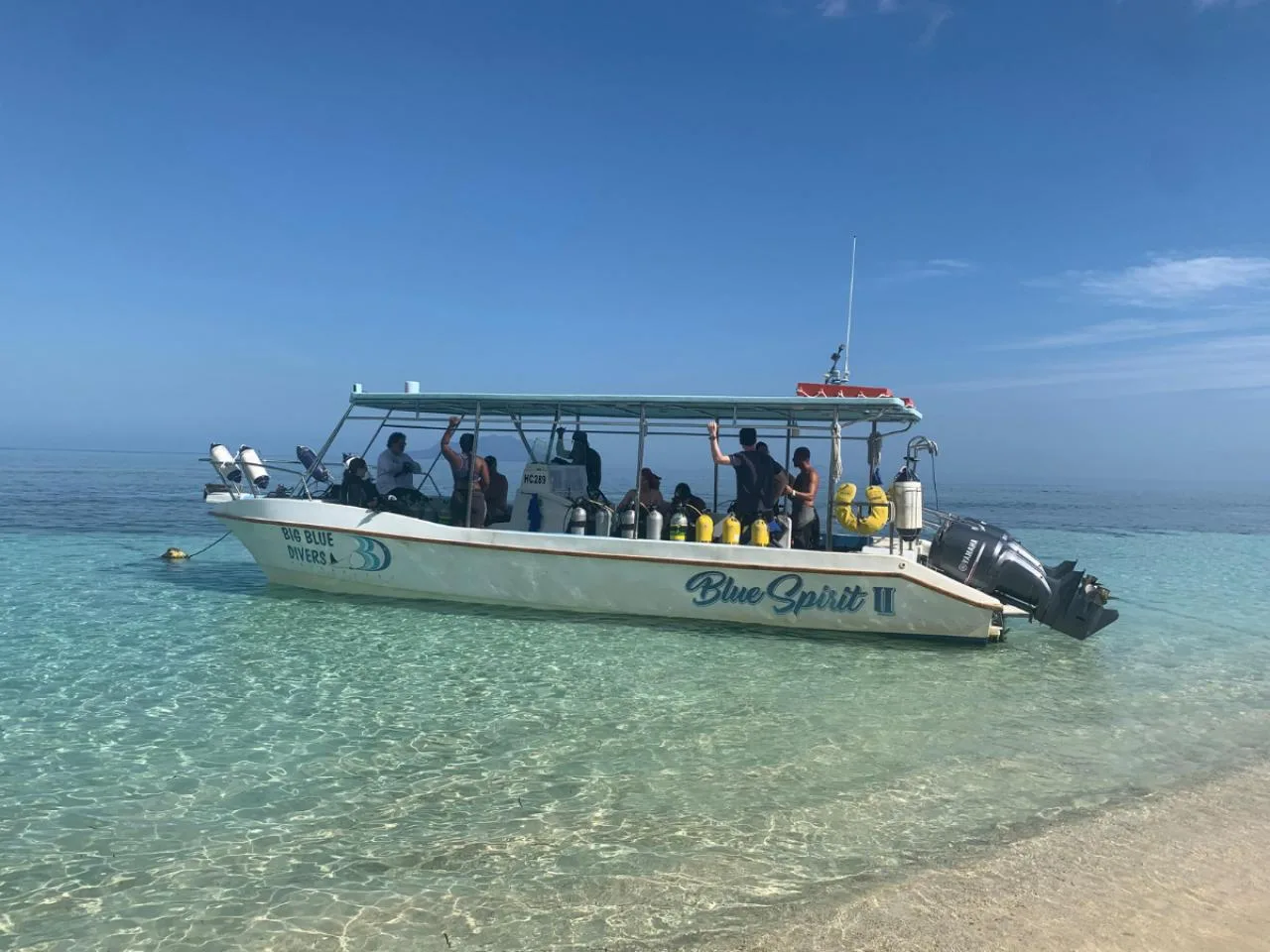 2 Dives with Normal Boat Trip in Mahé incl. Cylinder, Air & Weights