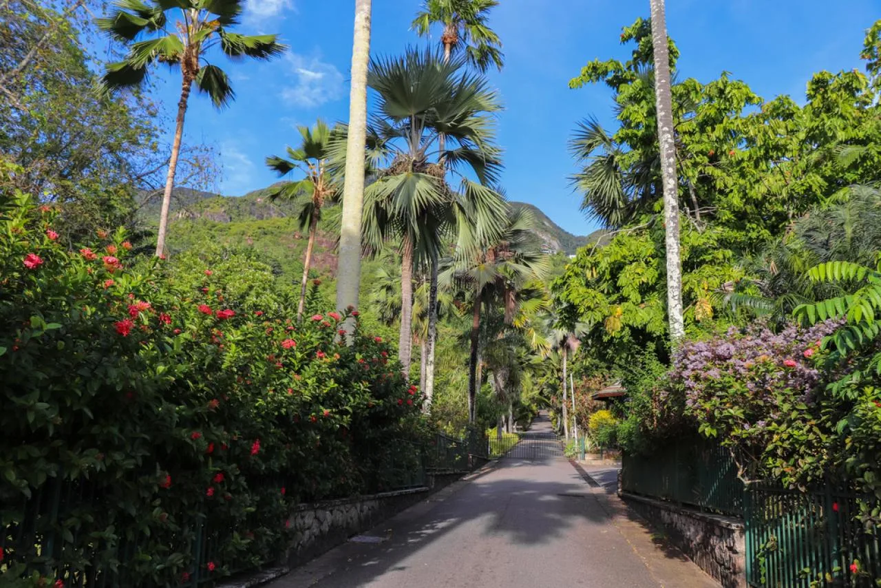 Half-Day Tour around Mahe Island