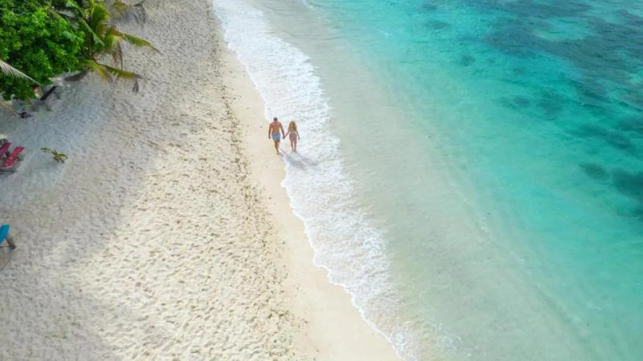 Vidéo de mariage d'1 heure – Drone et sol