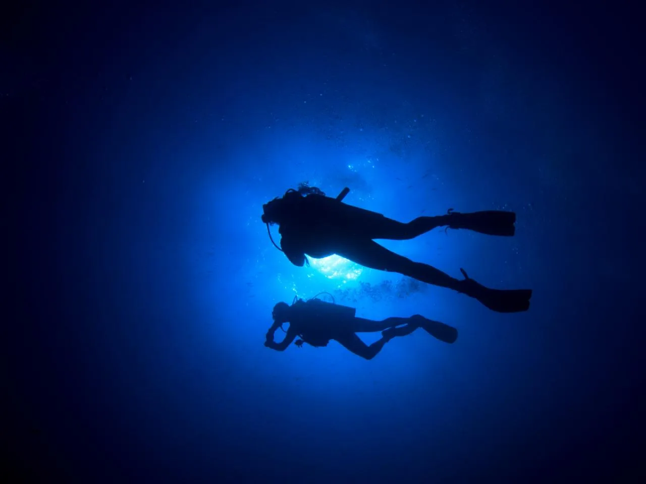 PADI Night Diver Specialty in Mahe incl. Equipment Rental