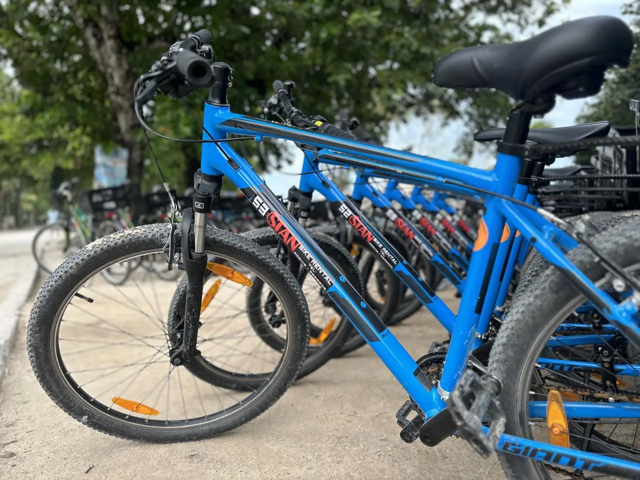 Bicicleta de montanha alemã para homem com cesto - aluguer de 1 dia