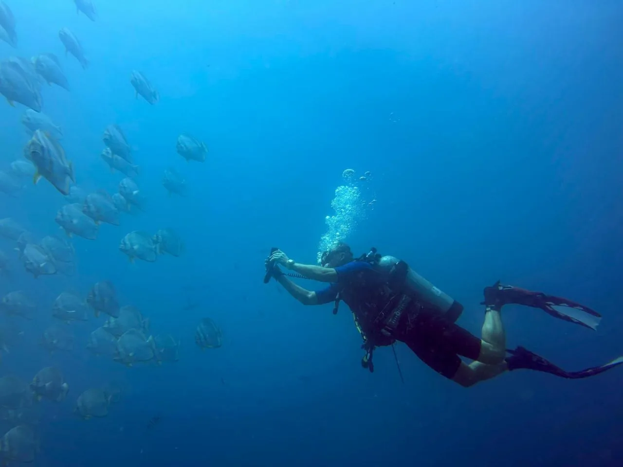 2 Dives with Normal Boat Trip in Mahé incl. Equipment Rental