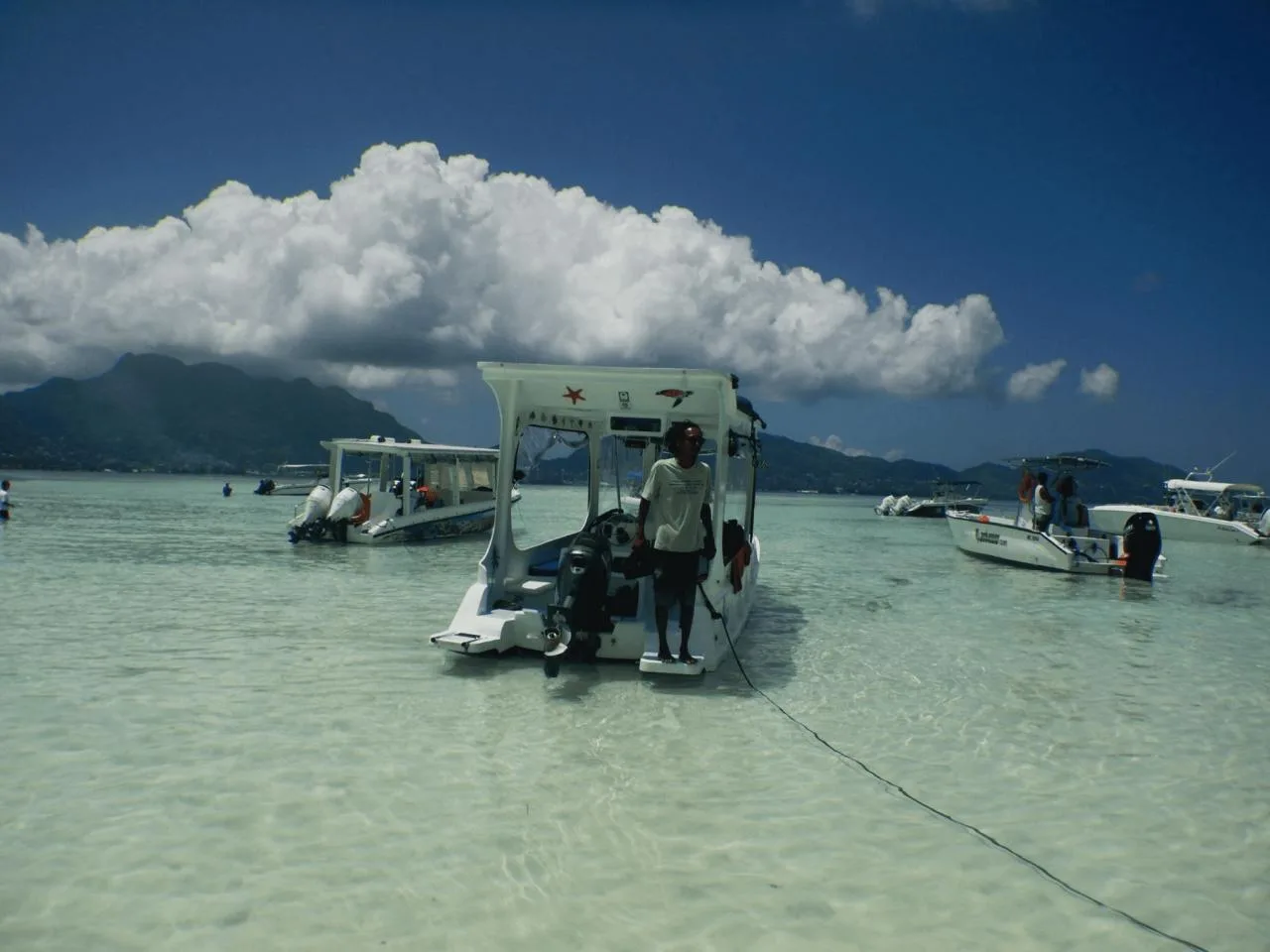 Excursión privada de día completo al Parque Marino con barbacoa para 5-12 personas