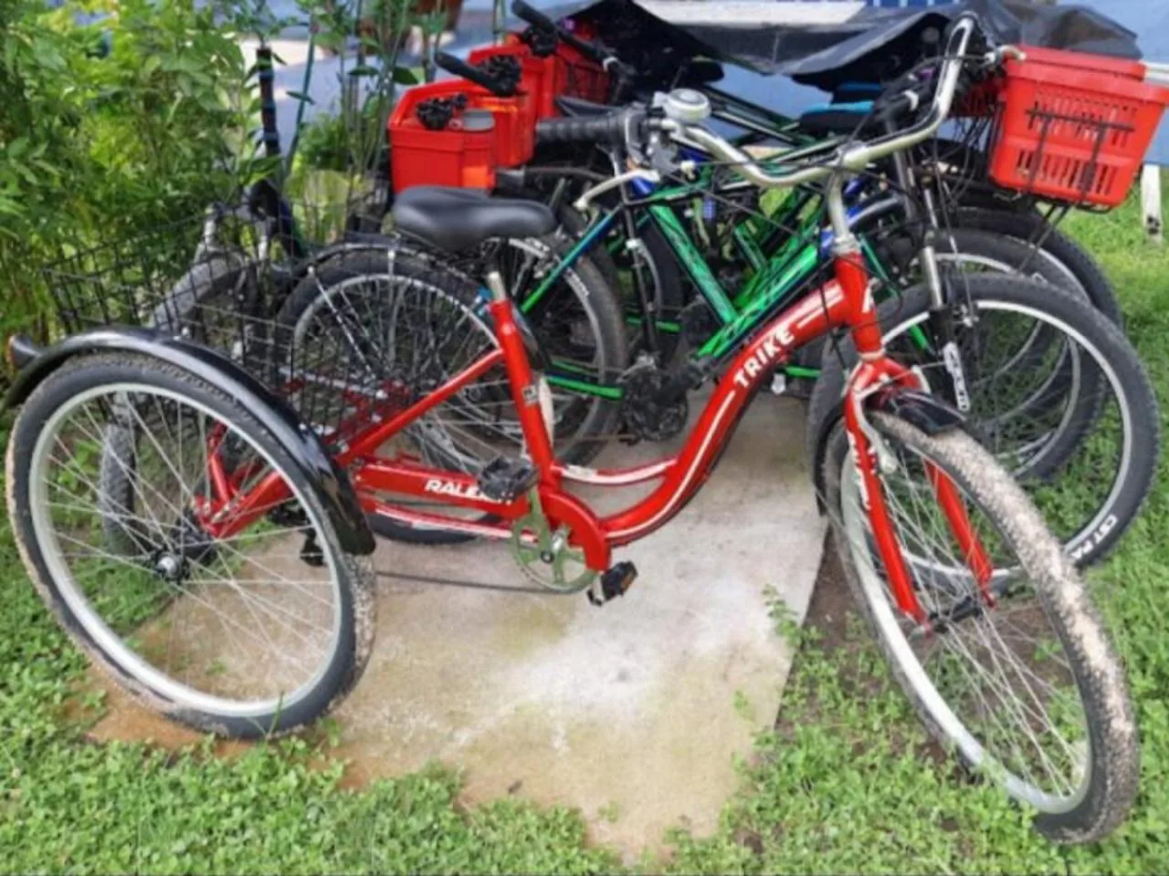 Tricycle Rental Service