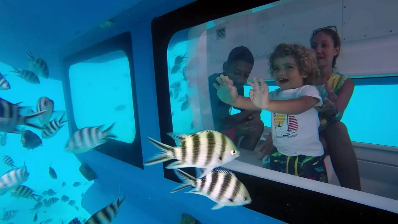 Private Family Semi-Submarine Tour in the Marine Park, Mahé Island
