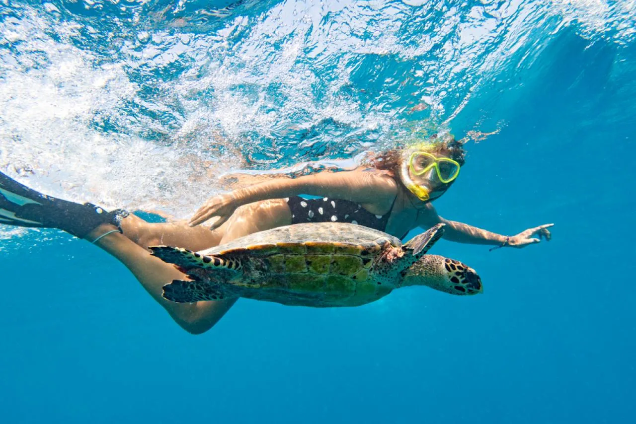 2-hour Snorkeling Tour on Mahé Island