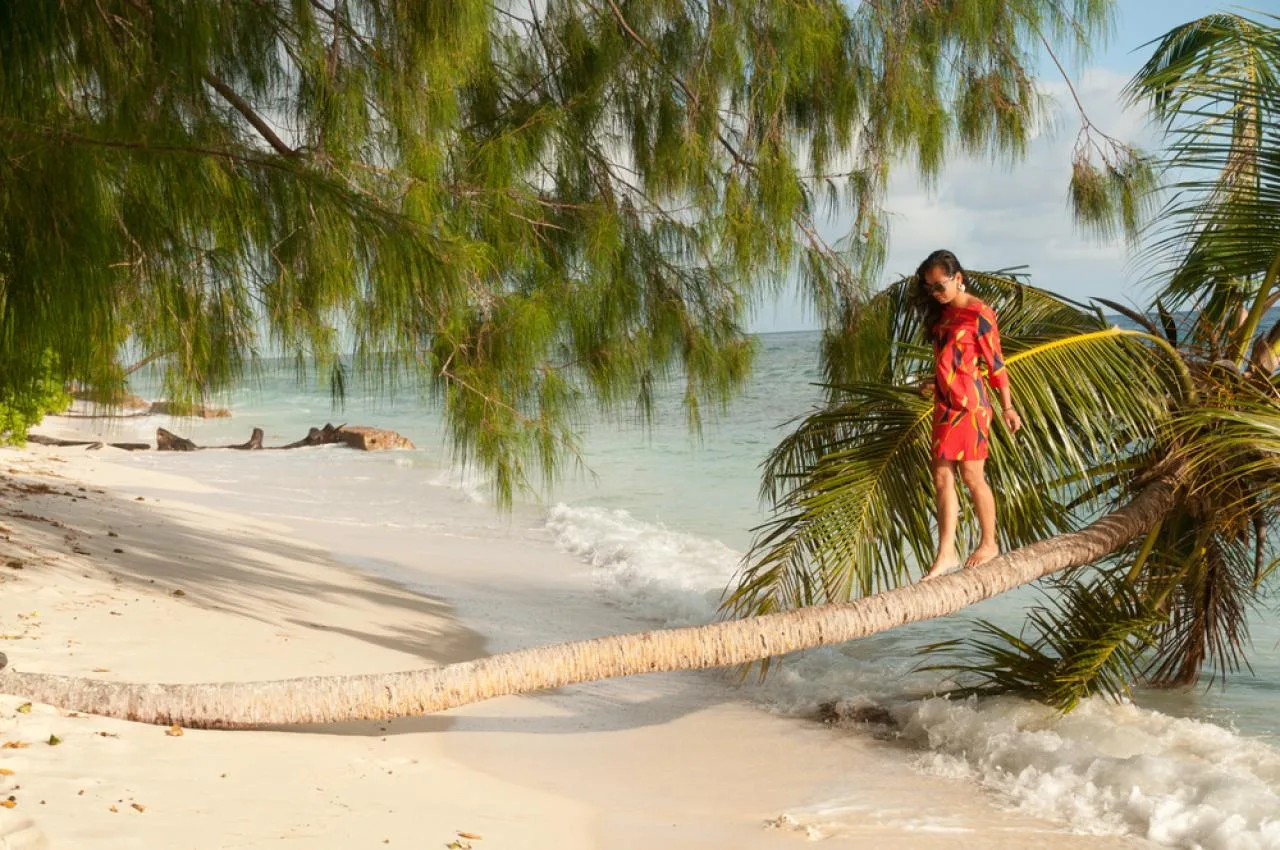 Scoprite le spiagge unichte delle Seychelles via Zoom