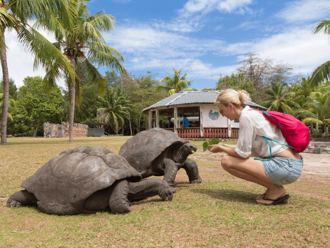 Tour di un giorno intero intorno a Curieuse Island