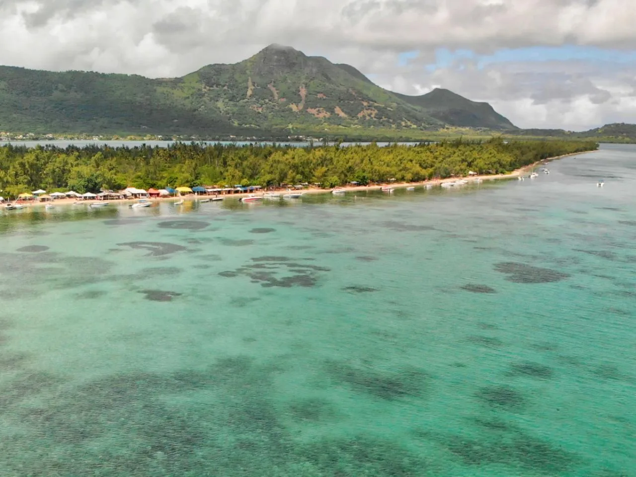 South West Mauritius Dolphins and Safari Tour