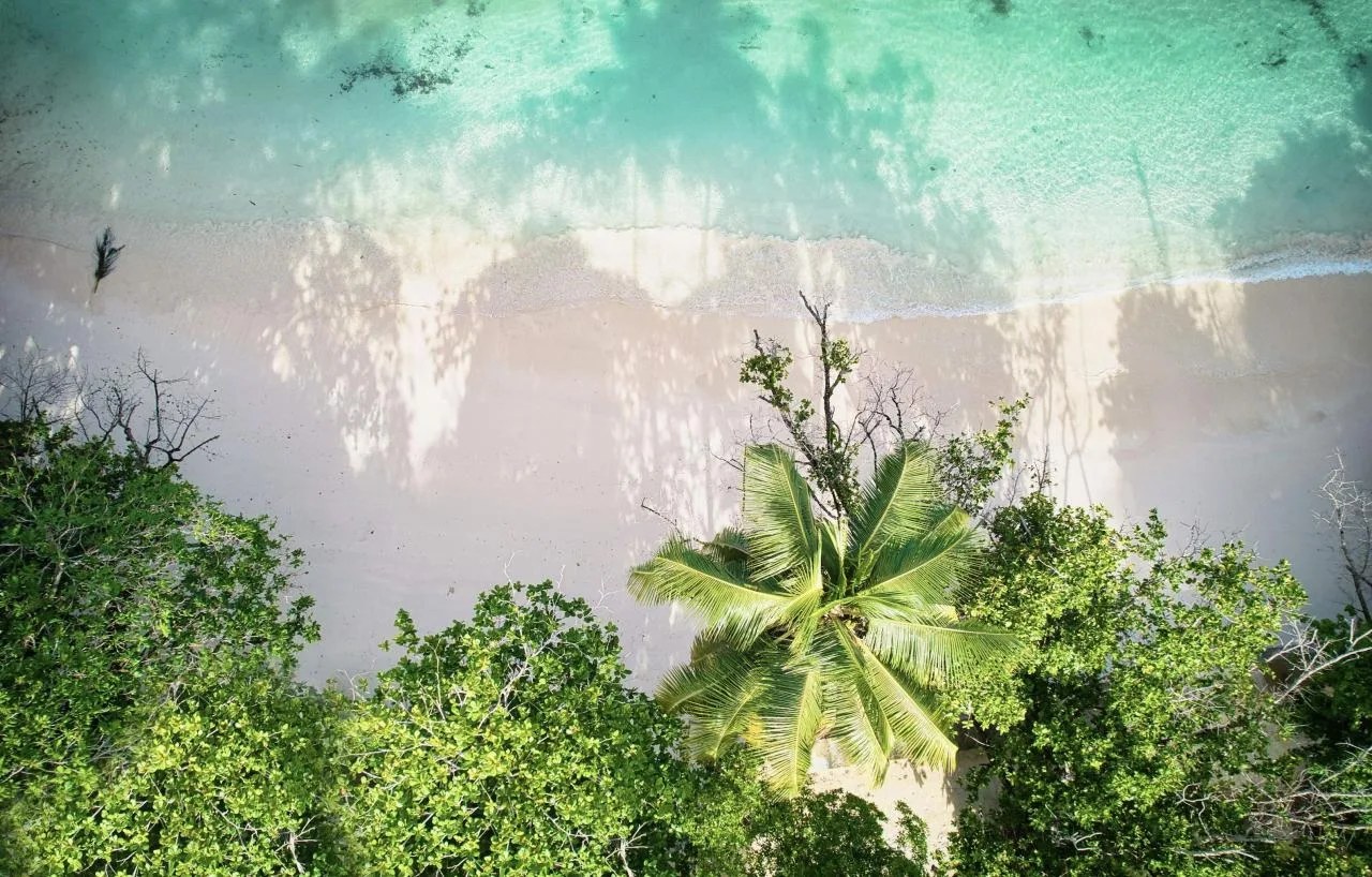 Tour Privado de Dia Inteiro pela Ilha de Mahé (8-10 pessoas)