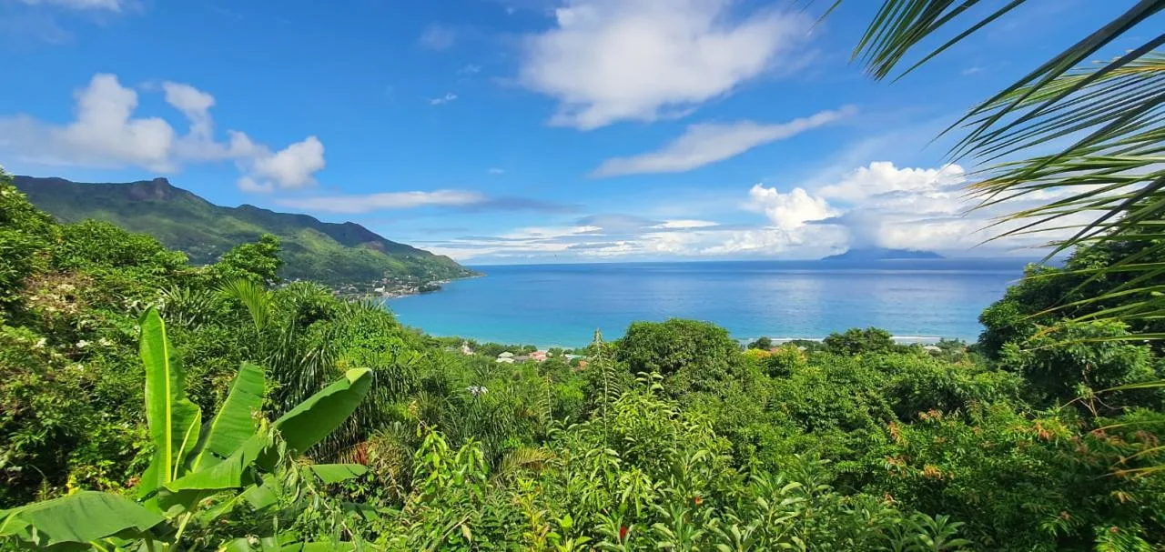 Tour speciale di 6 ore all'Isola di Mahe: scoprite la bellezza delle Seychelles